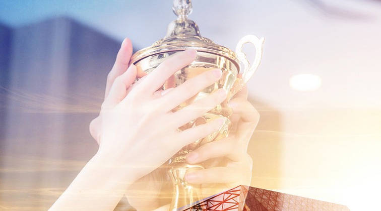 政府重点扶持企业