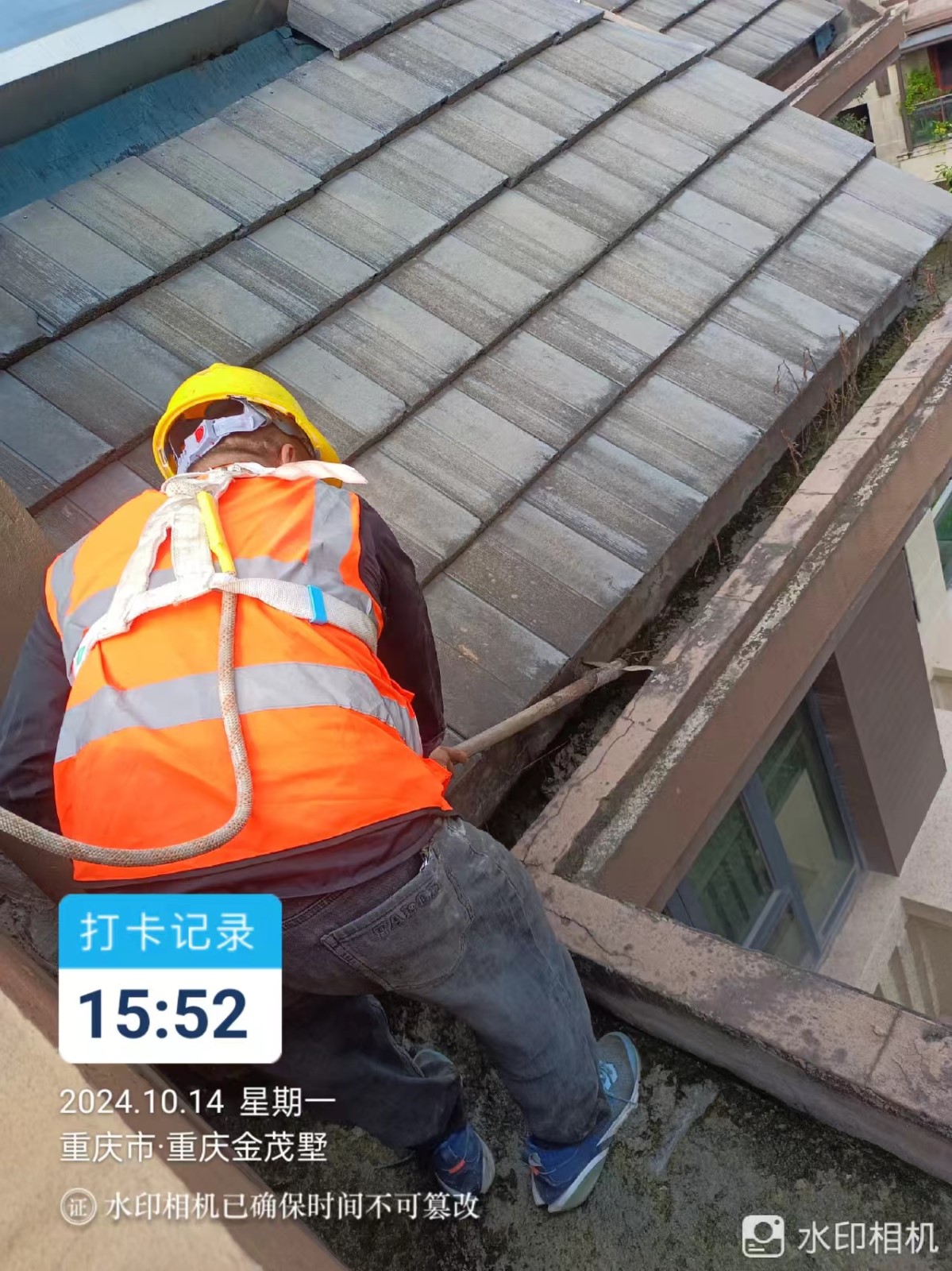 金茂书院2-5号地面及檐沟清理